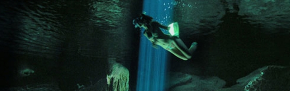 Punta Cana Explore the underwater world